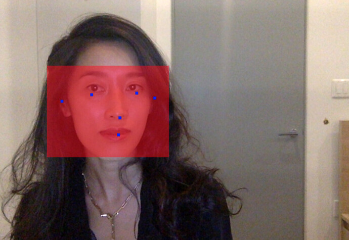 BlazeFace 在给定输入图像时的捕获内容演示：包围人体头部以及面部特征的边界框